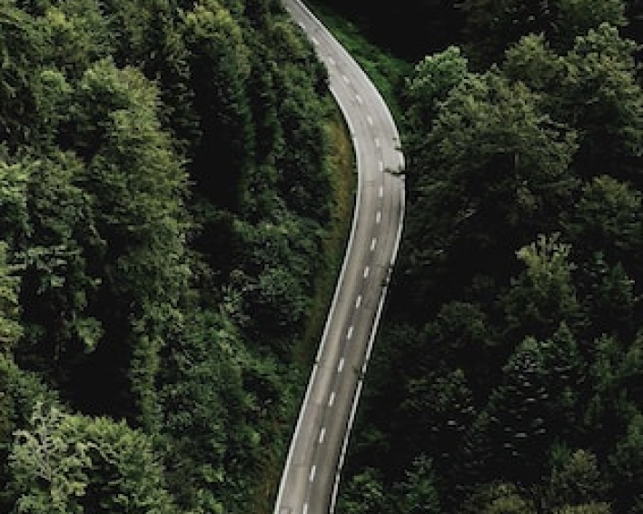 une route au bord de la forêt